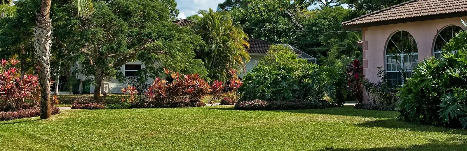 lawn